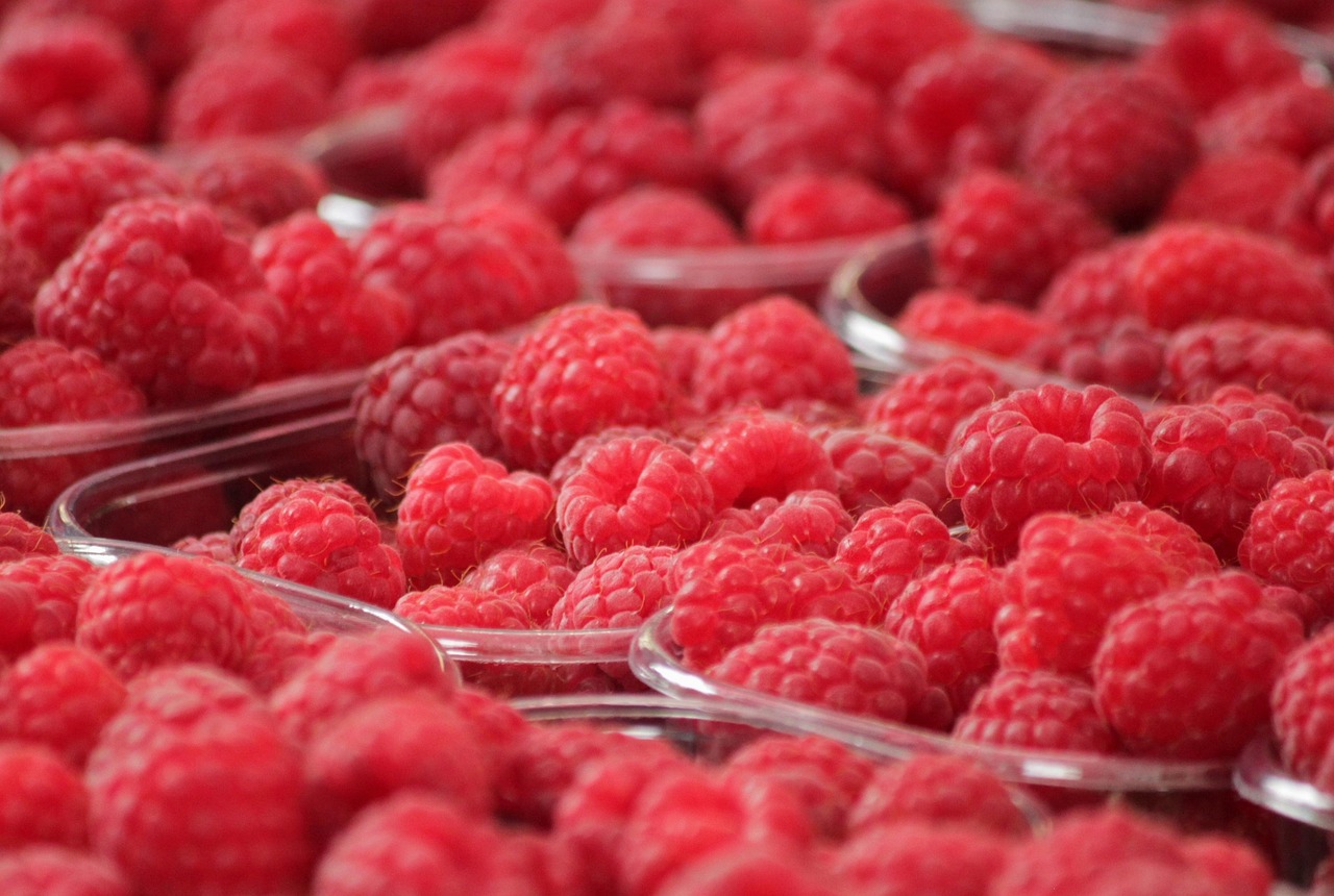 raspberries, red, berries, fruits, food, red fruits, tasty, delicious, healthy, nutritious, vitamins, ripe, organic, fresh, produce, market, close up, farmer's market, fruit stand, fresh produce, raspberries, raspberries, raspberries, fruits, market, market, market, market, market
